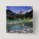 Suche nach reflexionen buttons See