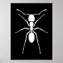 Suche nach ameise poster Insekt