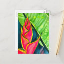 Suche nach heliconia postkarten Blume