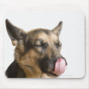 Suche nach nasen mousepads Nahaufnahme