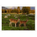 Suche nach geweih postkarten Keine leute