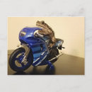 Suche nach amphibien postkarten Toad