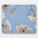 Suche nach kirschblüte mousepads Natur