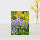 Suche nach foto osterkarten Blau