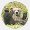 Suche nach kodiak aufkleber Natur