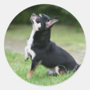 Suche nach erhöht aufkleber Schwarz