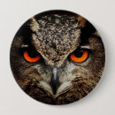 Suche nach uhu buttons Vogelvogel
