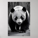 Suche nach panda kunst Niedlich