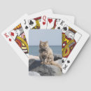 Suche nach wind spielkarten Katze