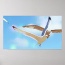 Suche nach seegras poster Wild