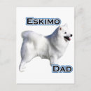 Suche nach amerikanische eskimo postkarten Eskie