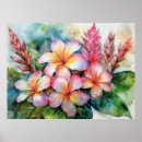 Suche nach ingwer poster Hawaii