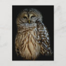 Suche nach versagt postkarten Vogelvogel