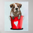 Suche nach bulldoggen poster Liebe