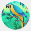 Suche nach amazonas aufkleber Papagei