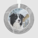 Suche nach border collie geschenke Grenzkollie
