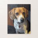 Suche nach beagles puzzle Welpe