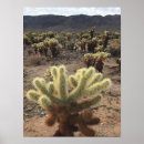 Suche nach joshua tree poster Cactus