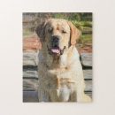 Suche nach haustier puzzle Personalisiert
