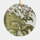 Suche nach pflanzen ornamente Schule