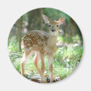 Suche nach kitz magnete Wild lebende tiere