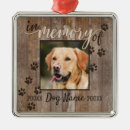 Suche nach zum gedenken an hund Dogs