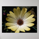 Suche nach regenwolken poster Natur