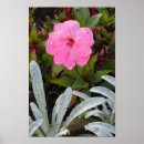 Suche nach naß poster Blume