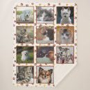 Suche nach katze decken Fotocollage
