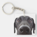 Suche nach labrador retriever schlüsselanhänger Portrait