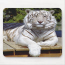 Suche nach weißer tiger mousepads Streifen