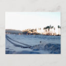 Suche nach santa barbara postkarten Palmen