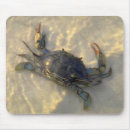 Suche nach blaue krabben mousepads Strand