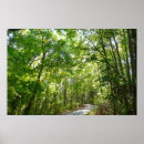 Suche nach waldweg poster Park