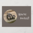 Suche nach zoo birthday party einladungen Otter