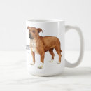 Suche nach bullterrier tassen Staffy