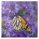 Suche nach selektiver fokus fliesen Natur