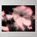 Suche nach hibiskus poster Blumenreich