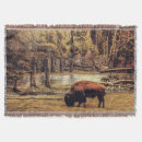Suche nach bison decken Landschaft
