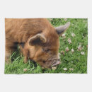 Suche nach niedliches schwein geschirr tücher Haustiere