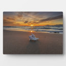 Suche nach insel fotoplatten Strand