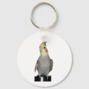 Suche nach cockatiel schlüsselanhänger Haustier