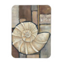 Suche nach muschel magnete Verzieren