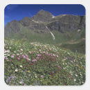 Suche nach die schweizer alpen aufkleber Landschaft