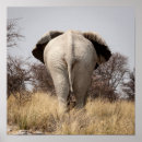 Suche nach etosha poster Superstock