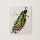 Suche nach pfau puzzle Vögel