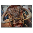 Suche nach rinde schneidebrettchen Rindfleisch