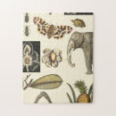 Suche nach gemalt puzzle Elefant