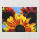 Suche nach garten mit sonnenblumen einladungen Gärten