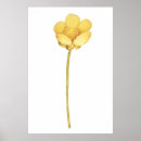 Suche nach ranunculus poster Vintag